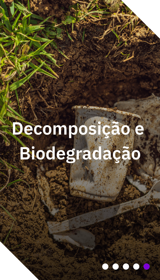 b4logic-home-historia-composicao-biodegradacao-mobile