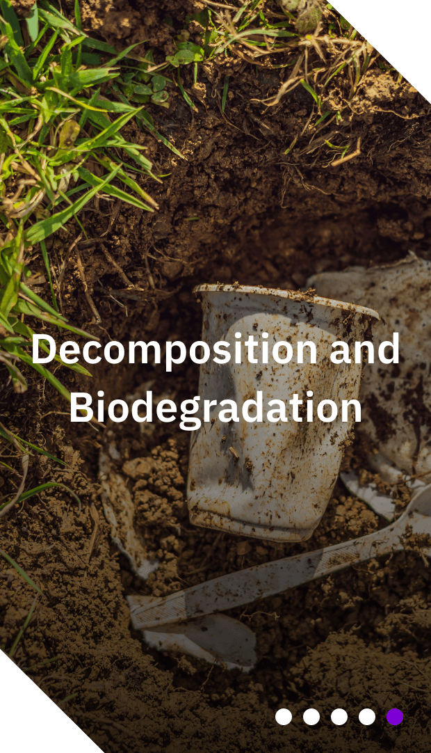 b4logic-formulas-processo-historia-composicao-biodegradacao-mobile_EN