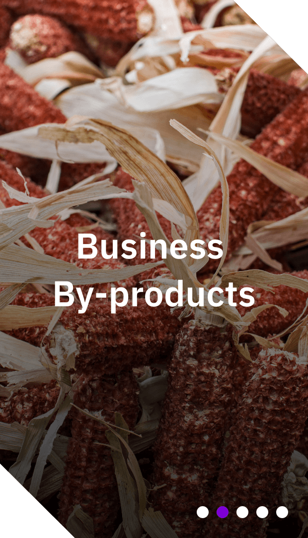 b4logic-formulas-processo-historia-subprodutos-negocio-mobile_EN